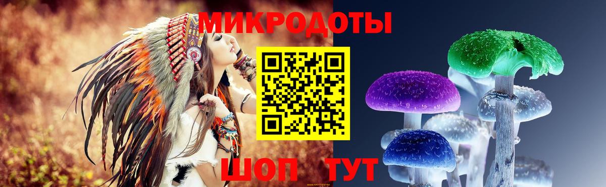 Псилоцибиновые грибы GOLDEN TEACHER  Вход с VPN  сколько стоит  Галлюциногенные грибы ЛСД  Карачаевск 