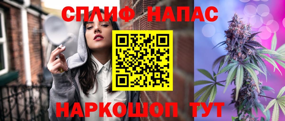 Карачаевск  Конопля план  Бошки марихуана сатива  Марихуана White Widow  Вход с VPN  МАРИХУАНА THC 21% 